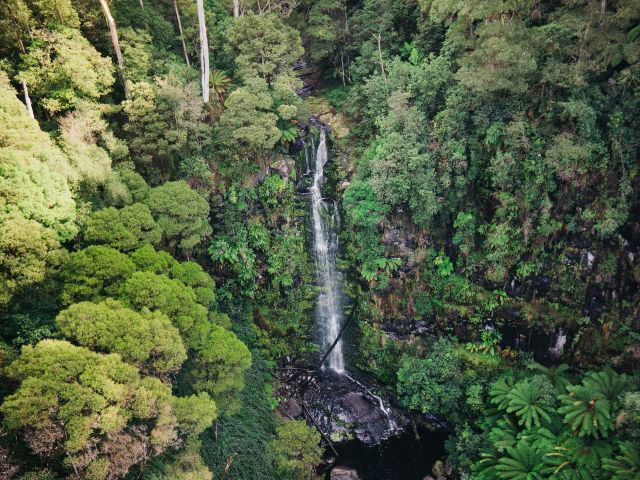 Erskine Falls