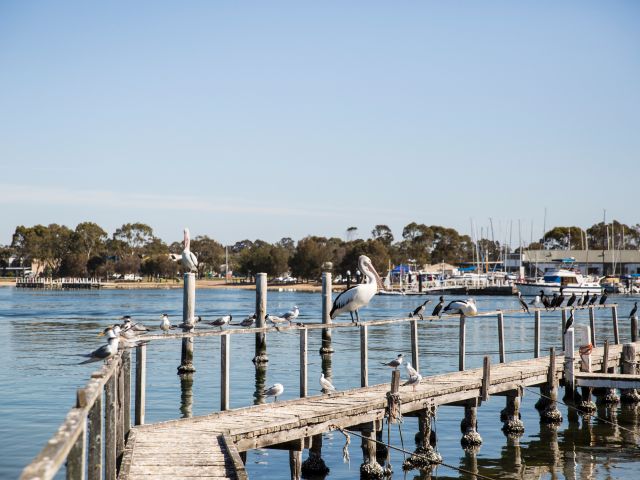 Gippsland lakes