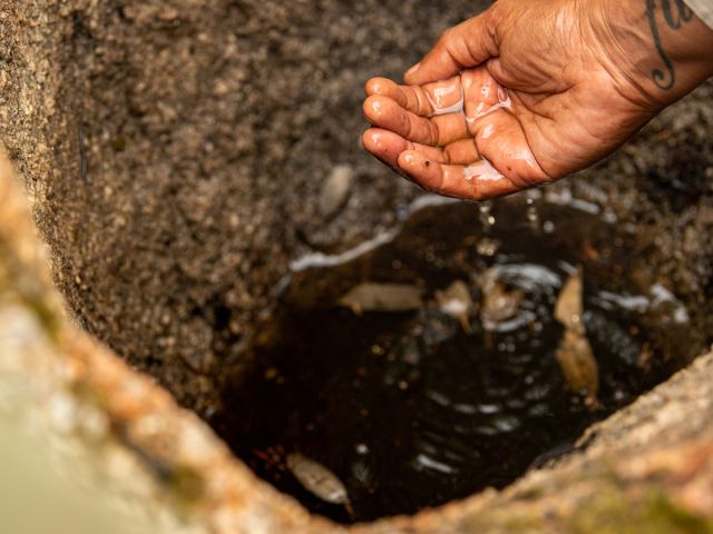 Kooyoora walking tour