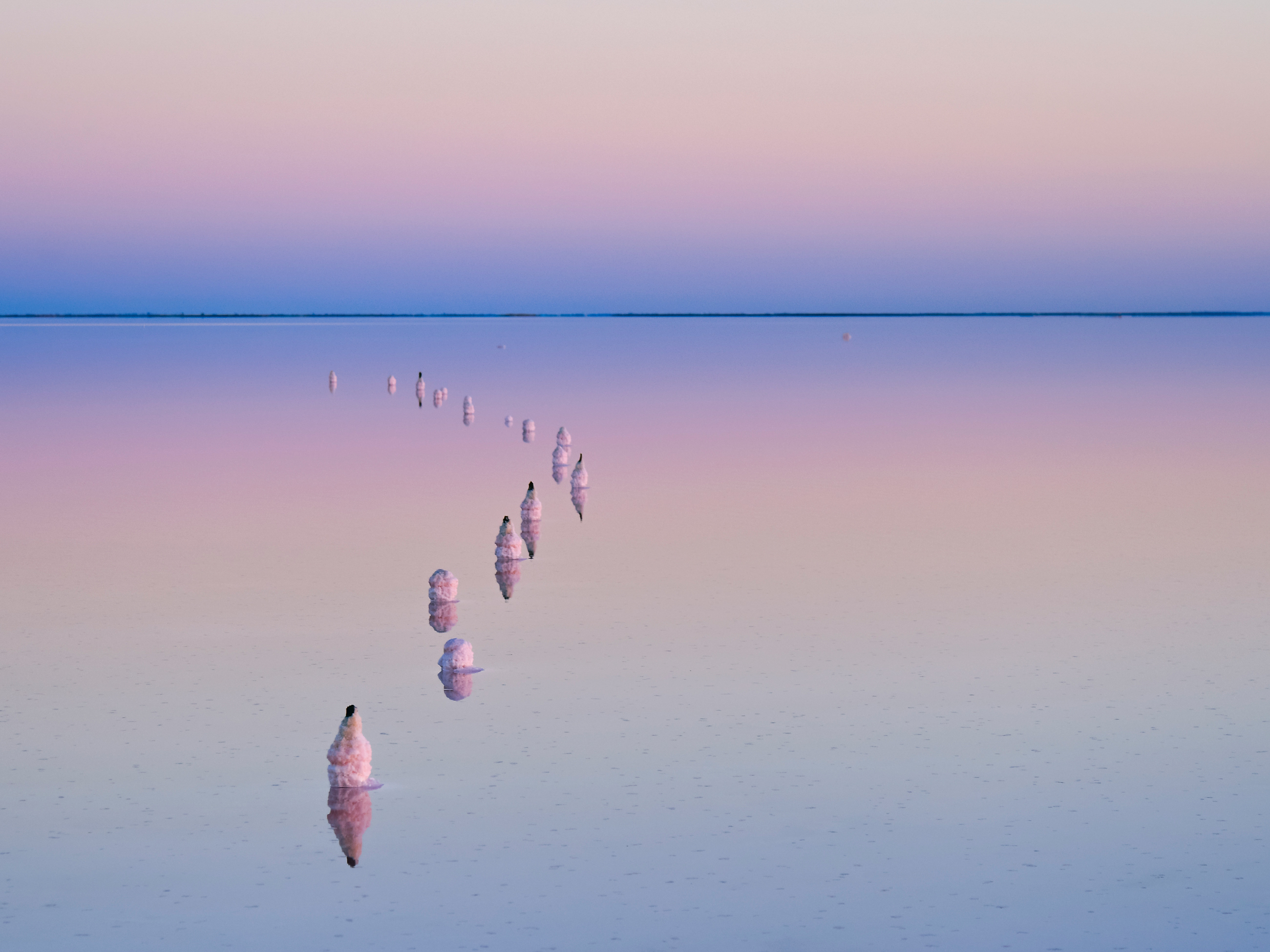 Five Minutes with Steve Parish - Australian Traveller