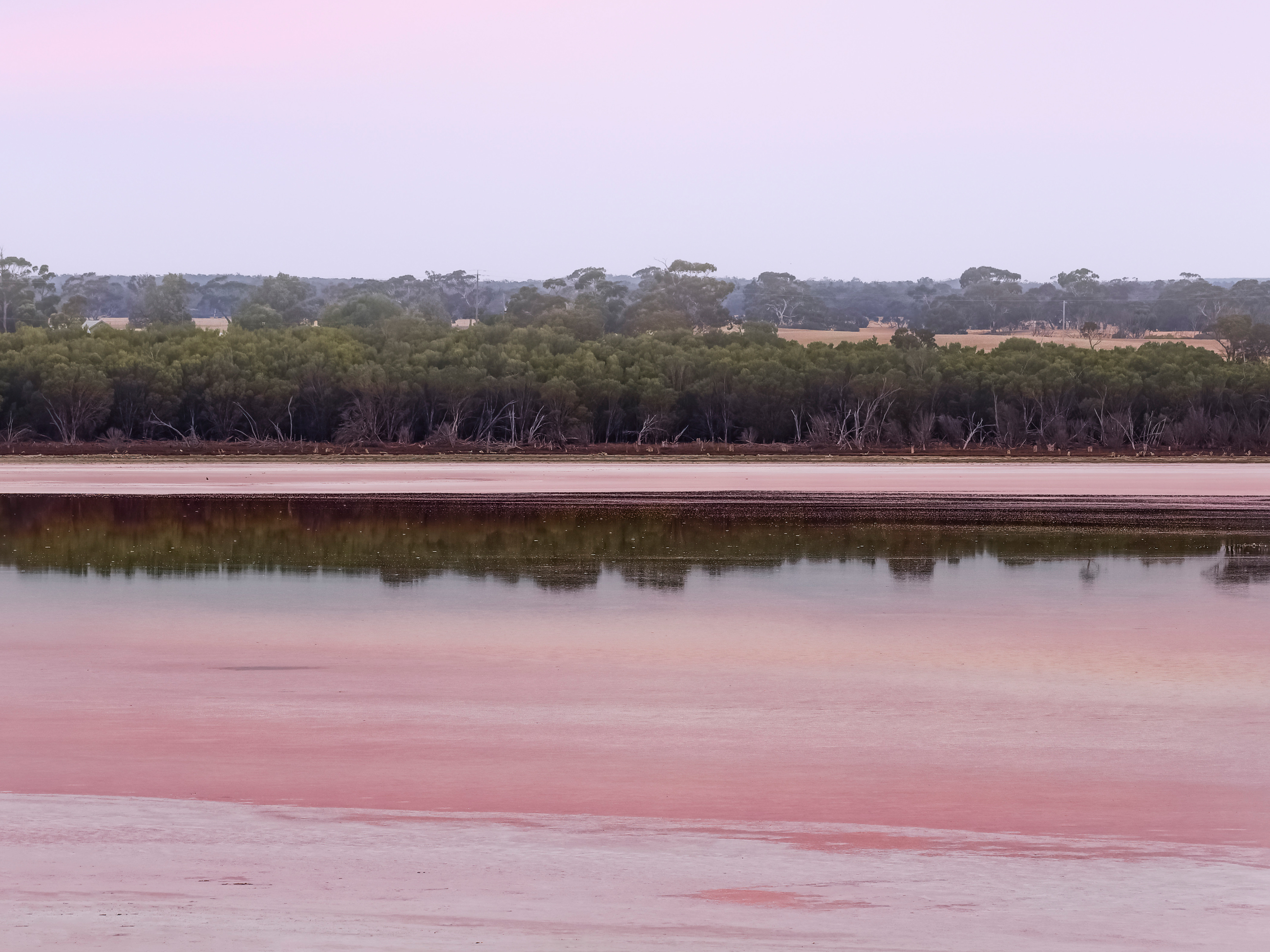 Five Minutes with Steve Parish - Australian Traveller