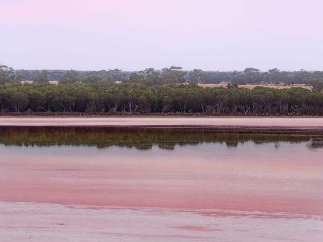pink lake