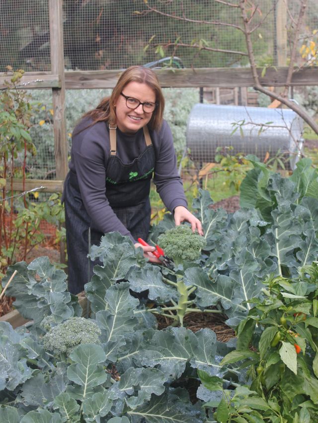 the Geelong Harvest Experience