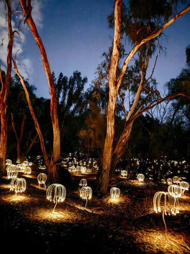 BruceMunro’s Trail of Lights in Mildura