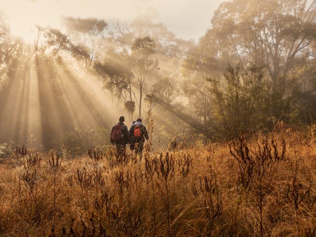 Tidbinbilla Ranges, ACT