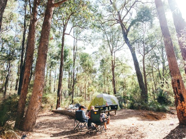 Dwellingup Mountain Bike Trails in Western Australia