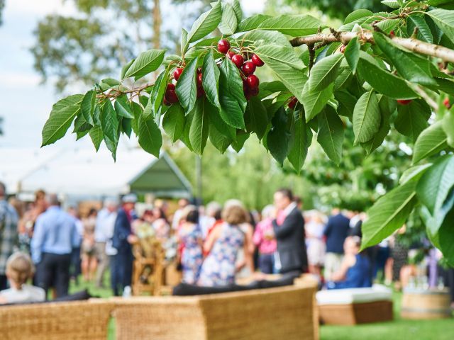 Cherry Harmony Festival in Manjimup, WA
