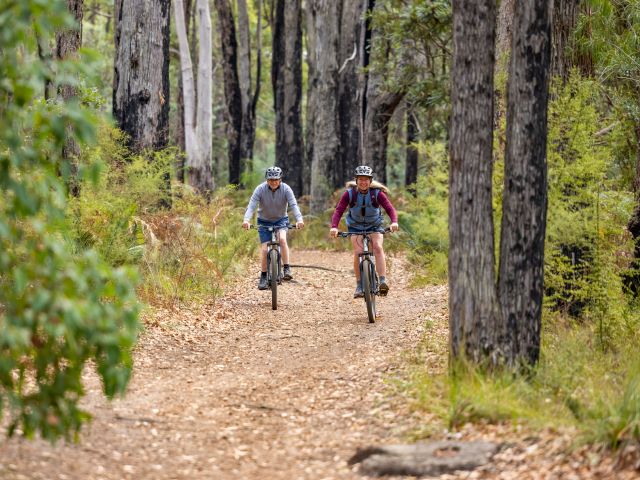 Dwellingup Mountain Bike Trails in Western Australia