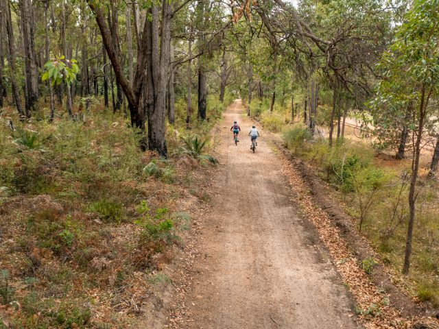 Dwellingup Mountain Bike Trails in Western Australia