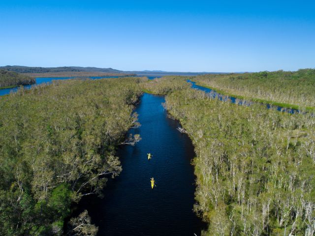 Canoeing through the Noosa Everglades in Queensland
