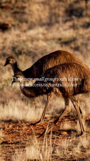 These new small group tours allow intimate access to Australia’s best experiences