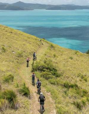a row of bike riders mountain biking near airlie beach whitsundays