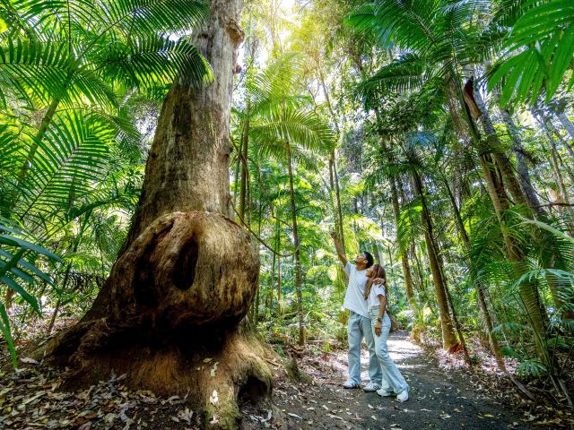 D’Aguilar National Park