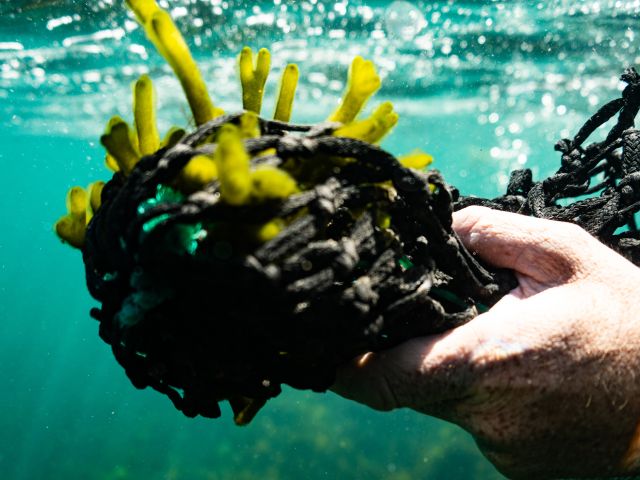 Coffin Bay Spirits on the Eyre Peninsula, SA