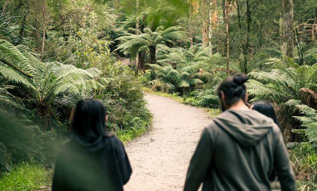 two people walking through Dandenong Ranges National Park