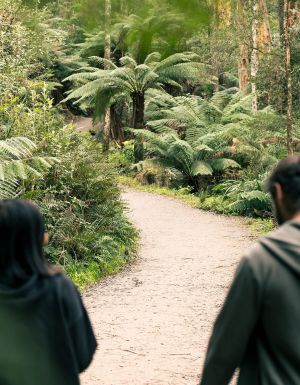 two people walking through Dandenong Ranges National Park