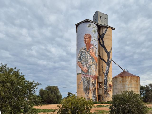 Patchewollock Silo Art by Fintan Magee