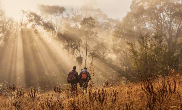 Tidbinbilla Ranges, ACT