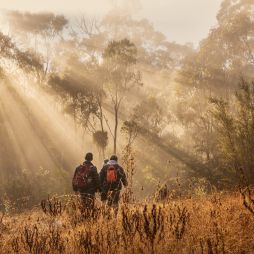 Tidbinbilla Ranges, ACT