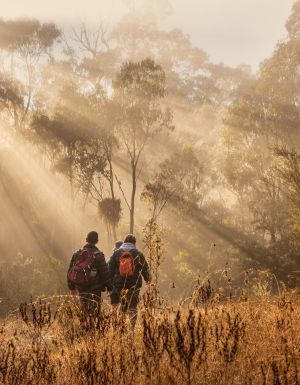 Tidbinbilla Ranges, ACT