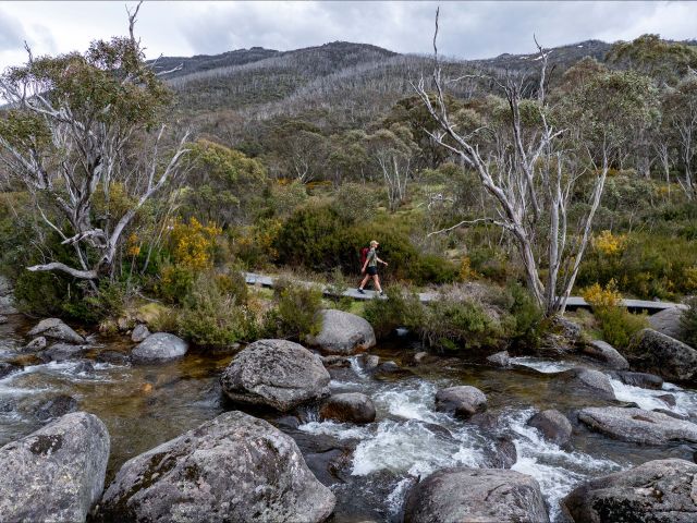 Thredbo River Track