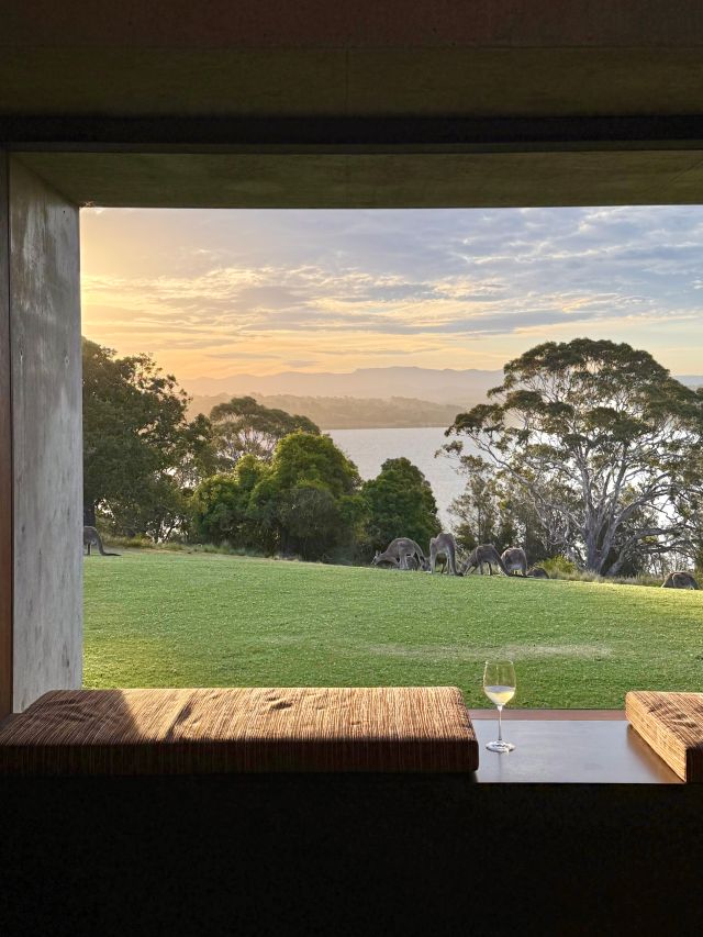 sunrise view at Somnium Bingie, NSW South Coast