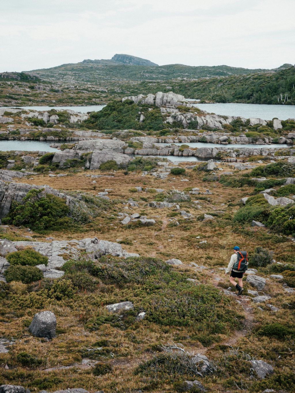 Tyndall Range, West Coast Range in Tasmania
