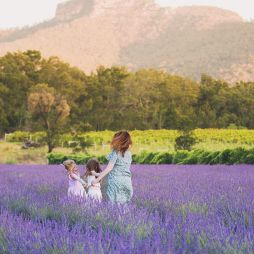 Hunter Lavender Farm in the Hunter Valley, NSW