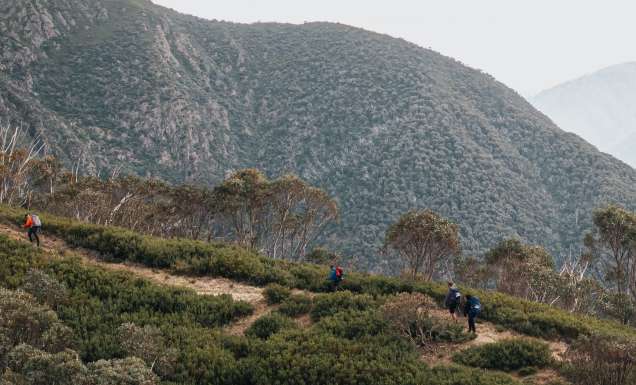 Mount Hoham hike with HIGHLANDER