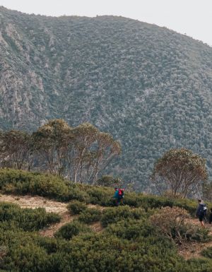 Mount Hoham hike with HIGHLANDER