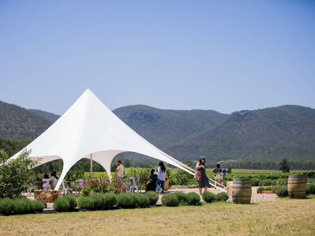 Hunter Lavender Farm in the Hunter Valley, NSW