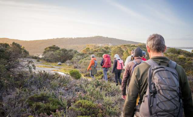 Hikers in Albany hiking the Lighting the Sound-Twilight Uredale Hike