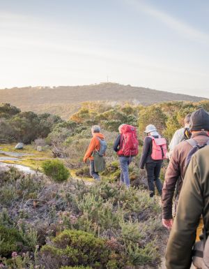 Hikers in Albany hiking the Lighting the Sound-Twilight Uredale Hike
