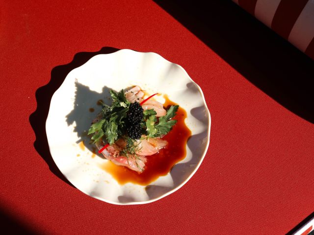 Overhead shot of ceviche onboard M.V. Jasmine