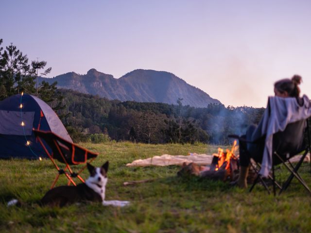 A woman sits with her dog at her campsite by a campfire at Misty Mountain in NSW