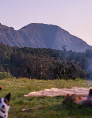 A woman sits with her dog at her campsite by a campfire at Misty Mountain in NSW