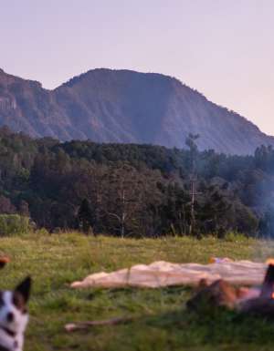 A woman sits with her dog at her campsite by a campfire at Misty Mountain in NSW