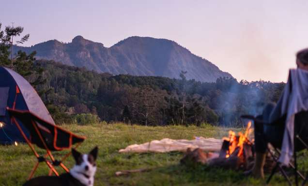 A woman sits with her dog at her campsite by a campfire at Misty Mountain in NSW