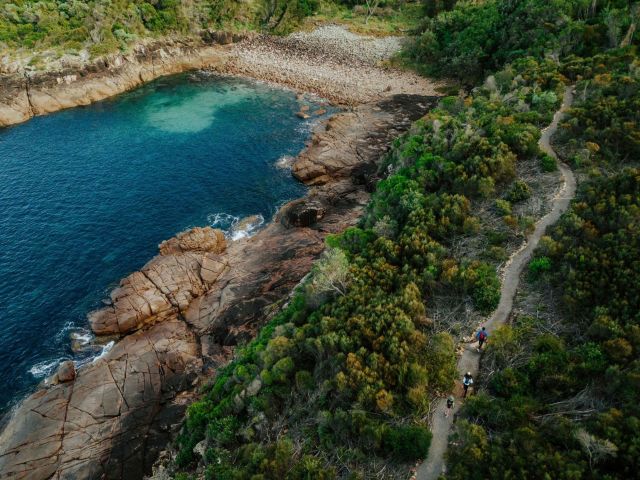 walking along a coastal forest at Boat Harbour, Tomaree Coastal Walk