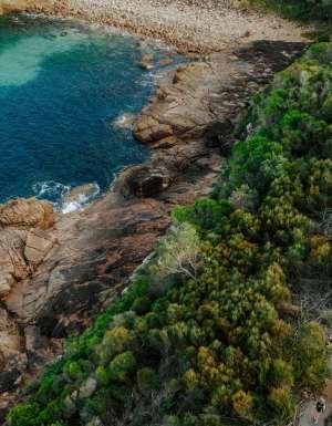 walking along a coastal forest at Boat Harbour, Tomaree Coastal Walk