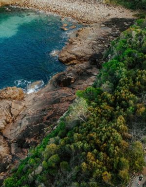 walking along a coastal forest at Boat Harbour, Tomaree Coastal Walk