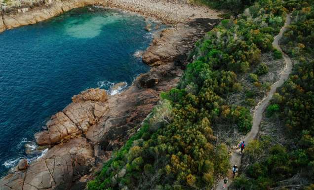 walking along a coastal forest at Boat Harbour, Tomaree Coastal Walk