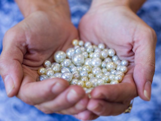 Broken Bay Pearl Farm