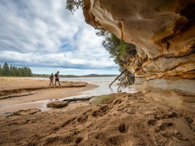 Murramarang South Coast walk near Wasp head