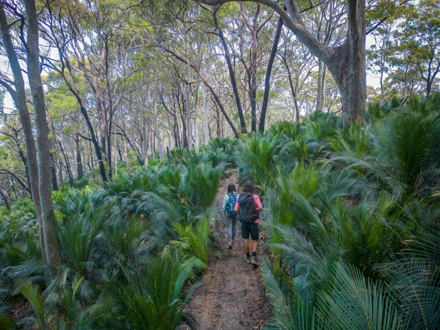 Point Upright, Murramarang South Coast walk