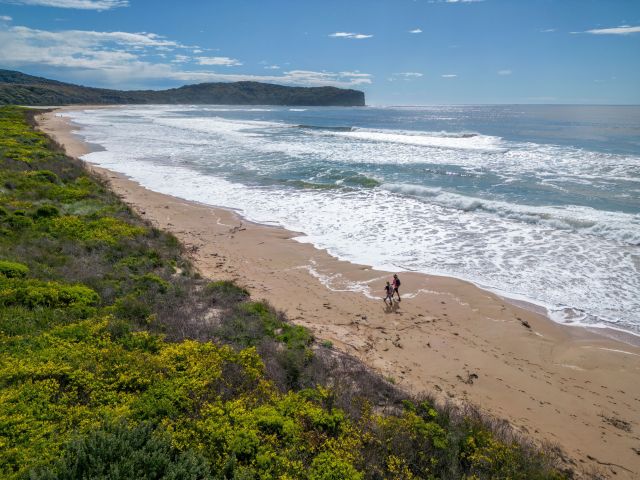 Murramarang South Coast walk Durras lake