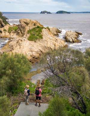 Yellow Rock, Murramarang South Coast Walk, Murramarang National Park