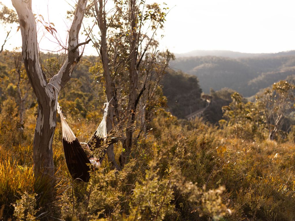 Tiny Billy in the Blue Mountains, NSW