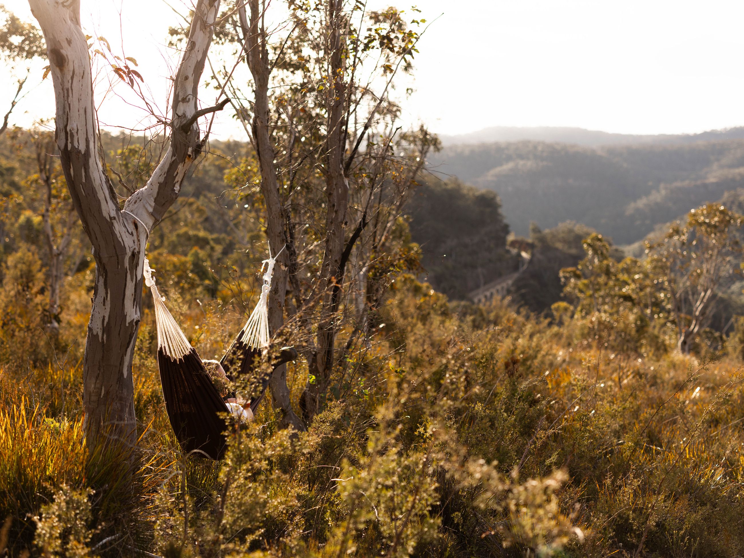 Tiny Billy in the Blue Mountains, NSW