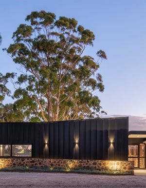 Anvers Wines in south australia